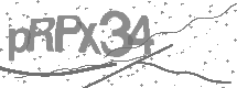 visual captcha